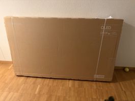 Samsung QE65S90F TV OLED 65 Zoll