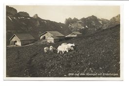 Alpstein (AI) auf dem Alpsiegel mit Kreuzbergen - 1924