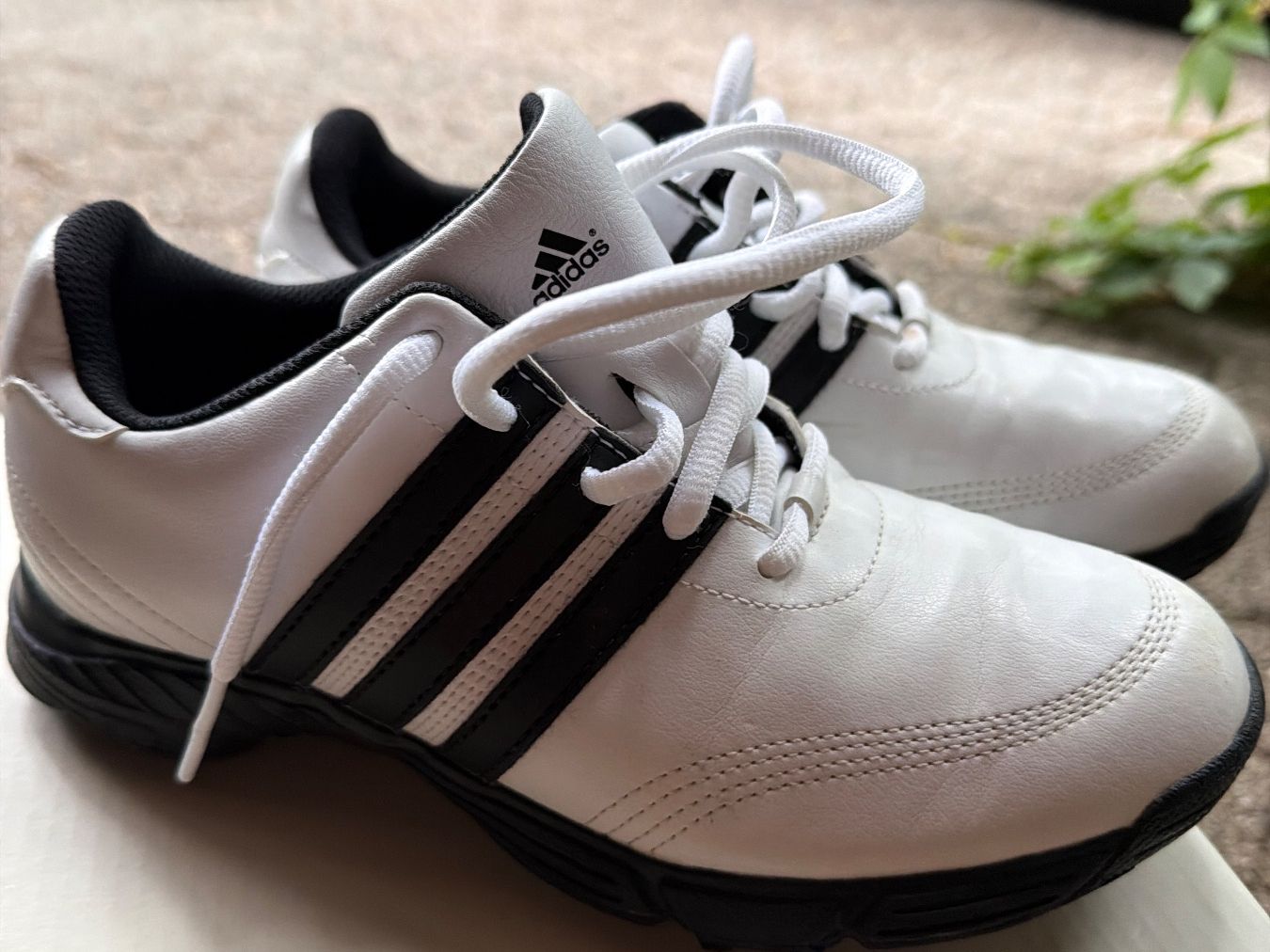 Adidas Scarpe per ragazzi: Golfschuh Adidas Gr. 34 – Usato da Muttenz venduto da ClaudB02