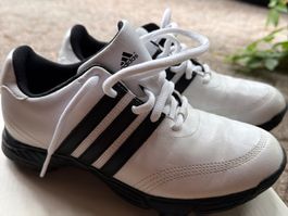Golfschuh Adidas Gr. 34