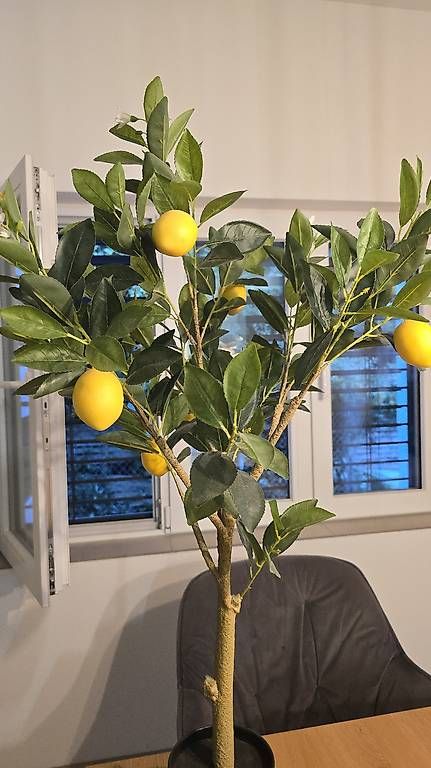 Plantes & graines: Zitronenbaum Kunstpflanze ca 100 cm – D'occasion à Bazenheid par Exo_Tic 3