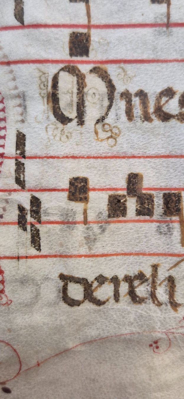 Bücher: Antiphonarblatt Antik – Gebraucht aus Degersheim von Tosam_Degersheim 6