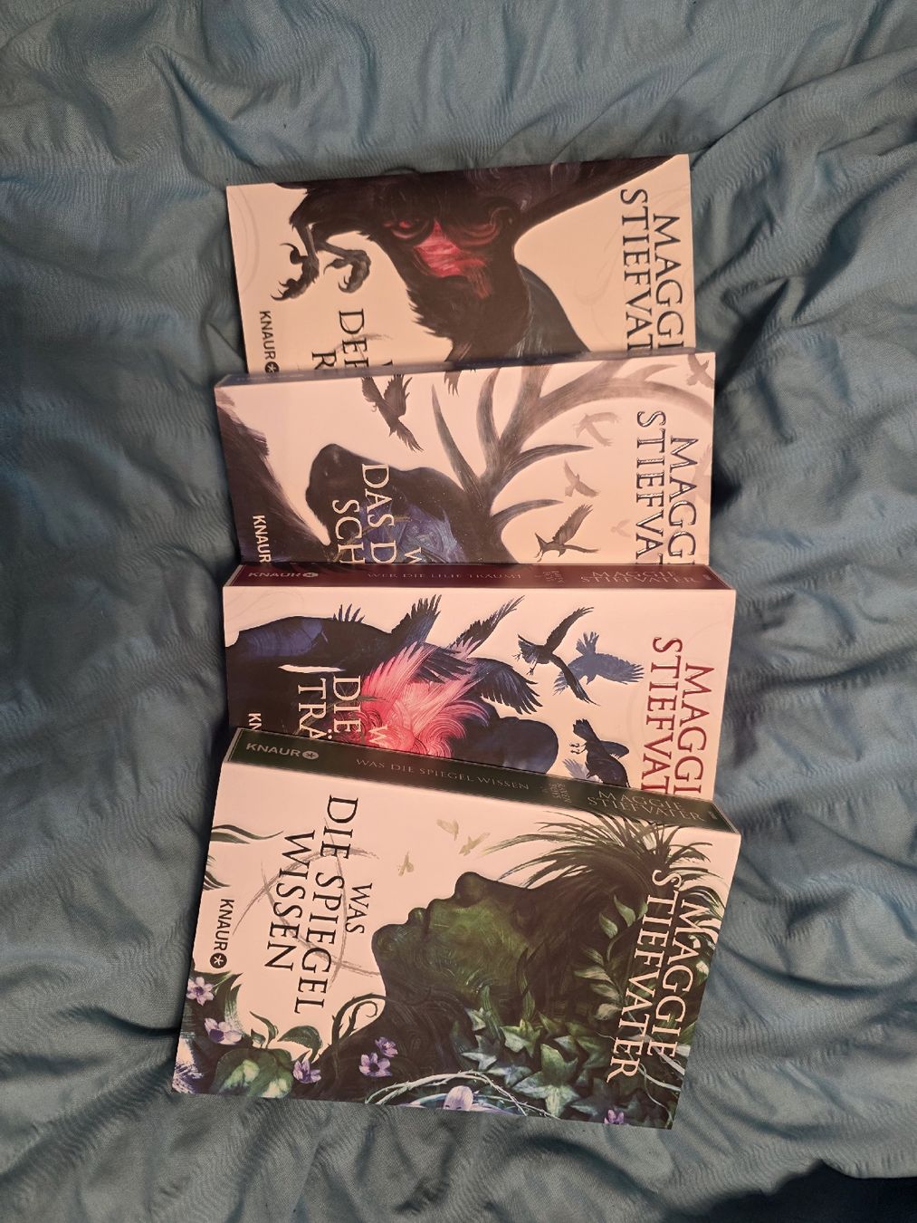Bücher: bücher Raven-Boys bücherbüchse – Neu (gemäss Beschreibung) aus Erlen von Noloka_green 2