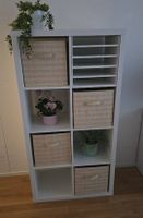 KALLAX und Box 4x