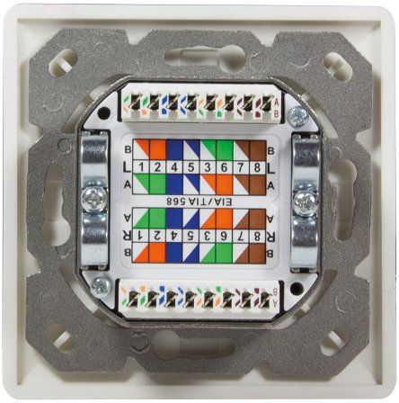 Spine: Cat.6 Netzwerkdose UP 2xRJ45 – Nuovo e nell'imballaggio originale da Buchs ZH venduto da Sutoris 6