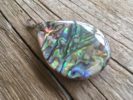 ABALONE / PAUA  MUSCHEL  ANHÄNGER  BÜGEL UND ÖSE 925 SILBER