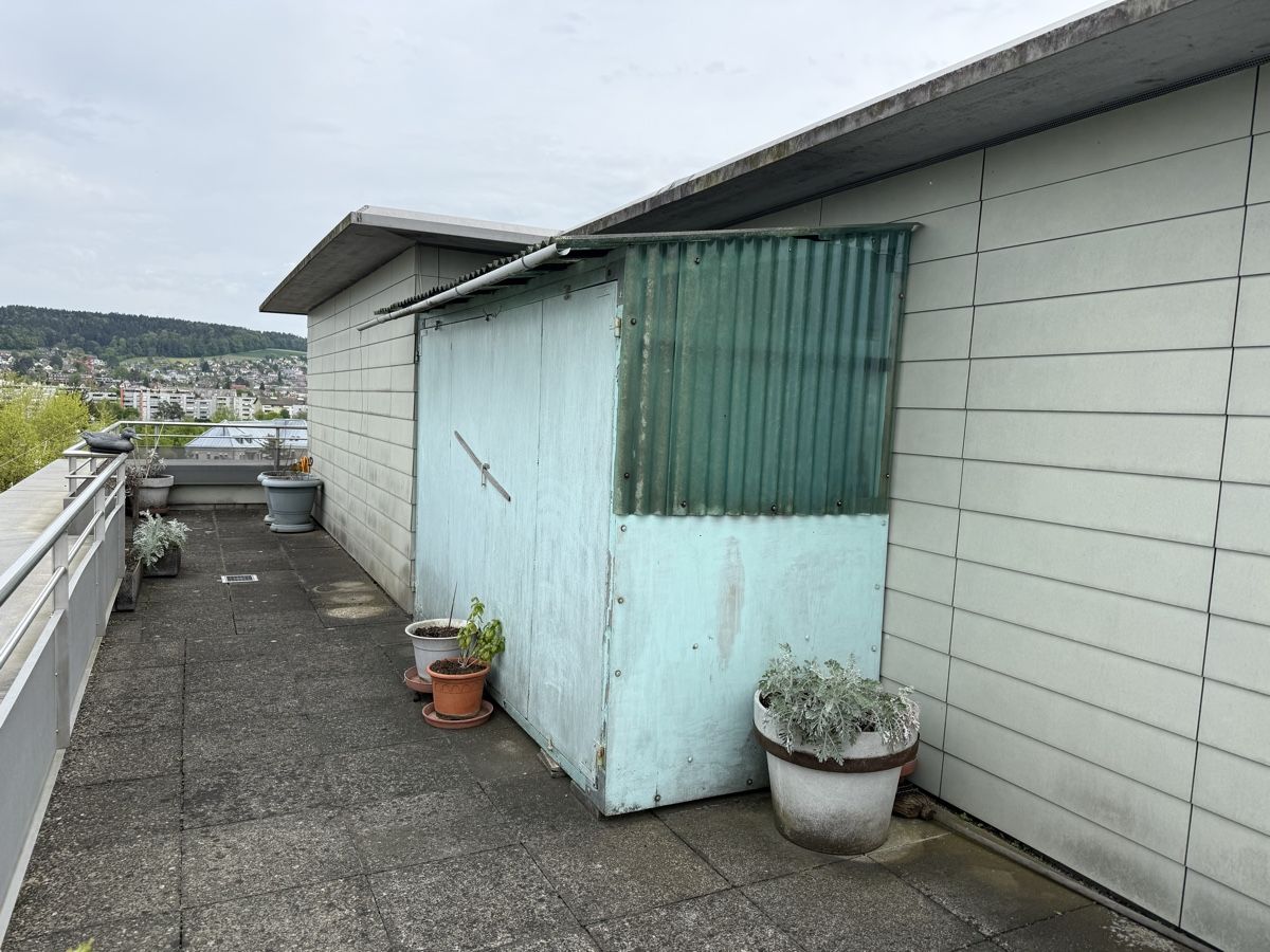 Casette da giardino & serre: Gartenschopf / Geräteschuppen auf Terrasse – Usato da Volketswil venduto da cinicini