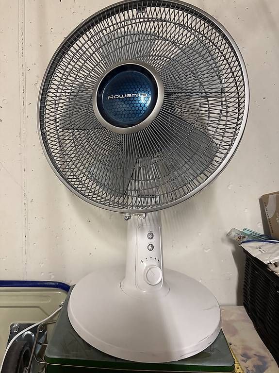 Ventilateurs: Rowenta Ventilator  – D'occasion à Oberdiessbach par shan26