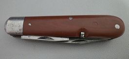 Elsner 41