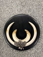Keilerwaffen / Wildschwein-Trophäe auf Trophäenschild