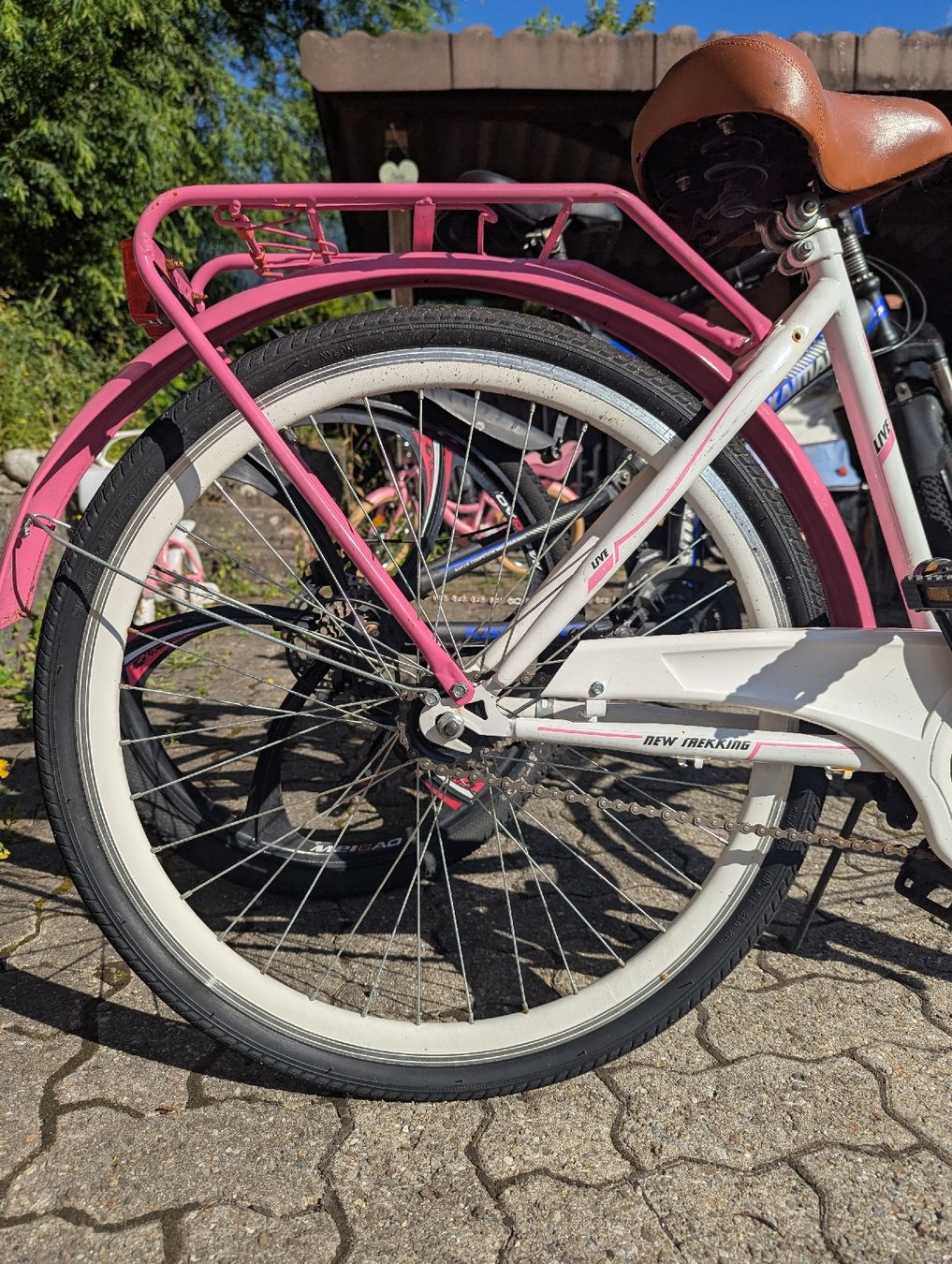 Biciclette: Frauen velo – Usato da Brienz BE venduto da bar_xf2d 5