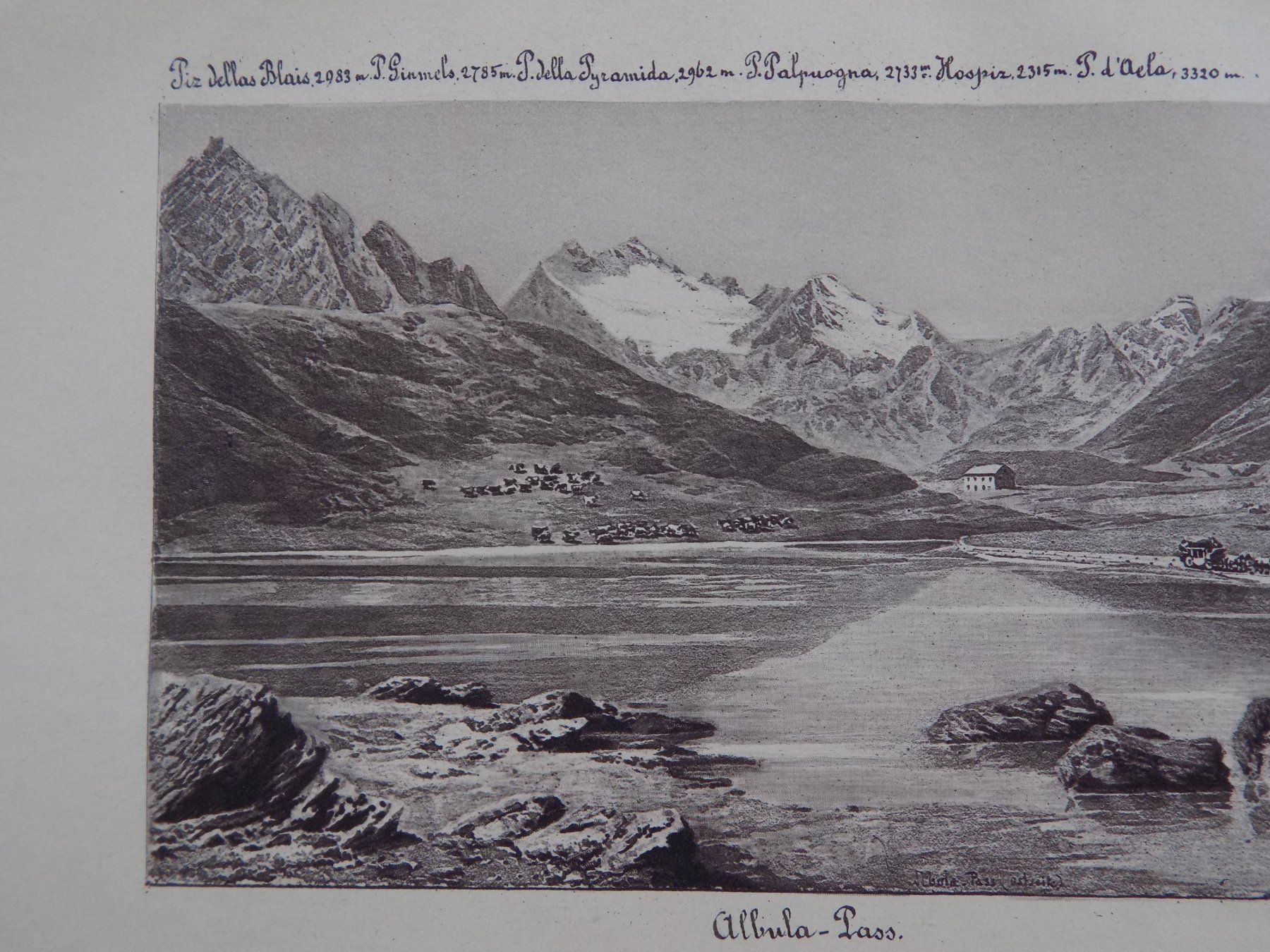 Stiche: Albula Pass – Gebraucht aus Risch von Rischli15 6