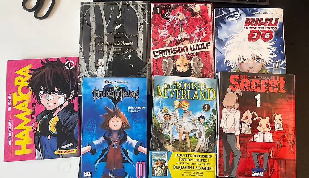 Fumetti: Manga tout genre  – Usato da Genève venduto da mel_5pn7