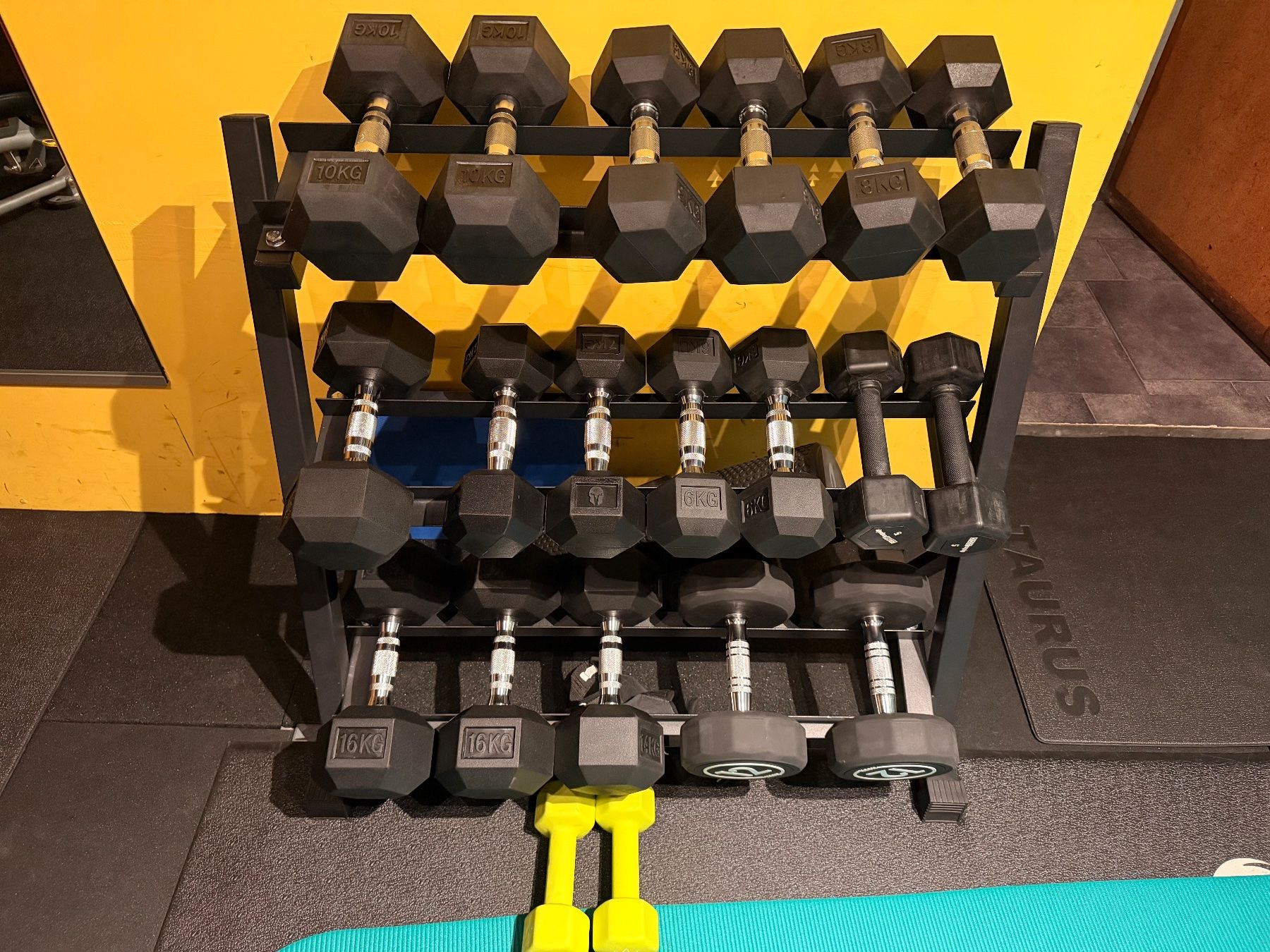 Manubri & Pesi: Rack mit Kurzhantelm – Usato da Uster venduto da sabina72 1