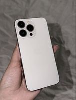 iPhone 13 Pro - silber 256GB