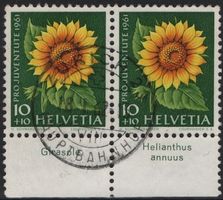 10 Rp. PJ 1961 Paar mit TAB (Girasole + Helianthus annuus)
