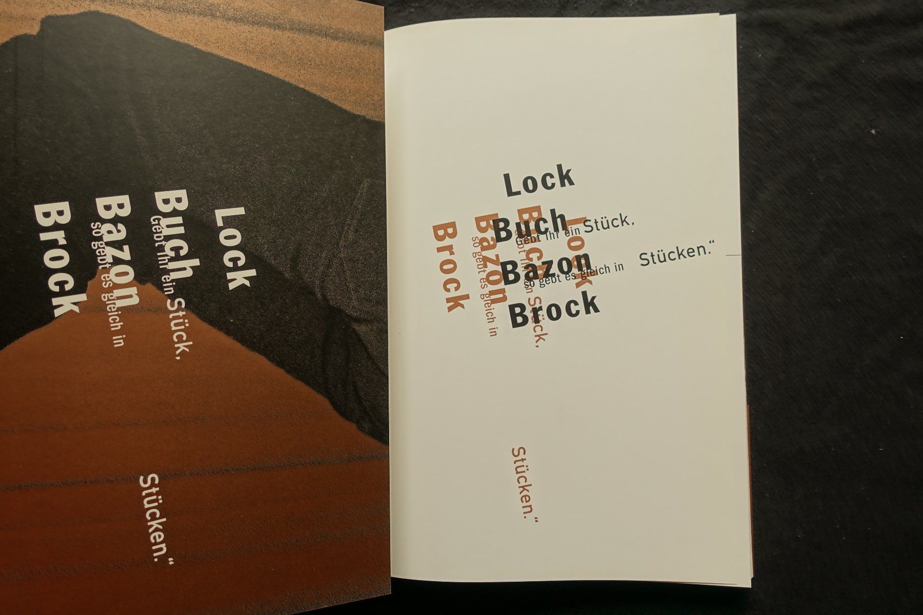 Bücher: Bazon Brock: Lock Buch und 3xDVD – Gebraucht aus Gutenswil von Optico 4