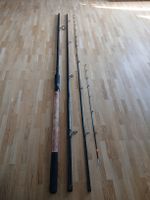 Feederrute Angelnrute Browning Black Magic 4.2m 70-160g wg
