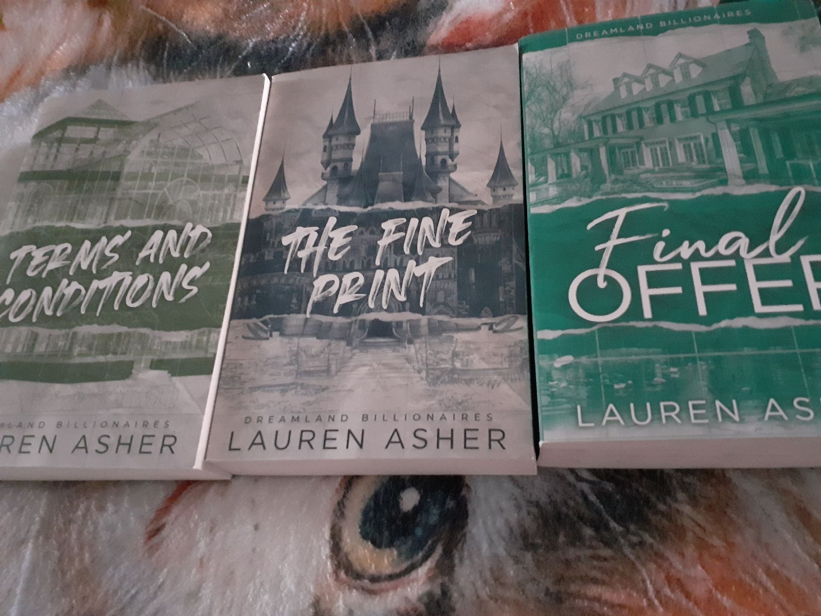 Bücher: Lauren Asher Dreamland Billionaires 3er Set – Gebraucht aus Kloten von elb_9qvr