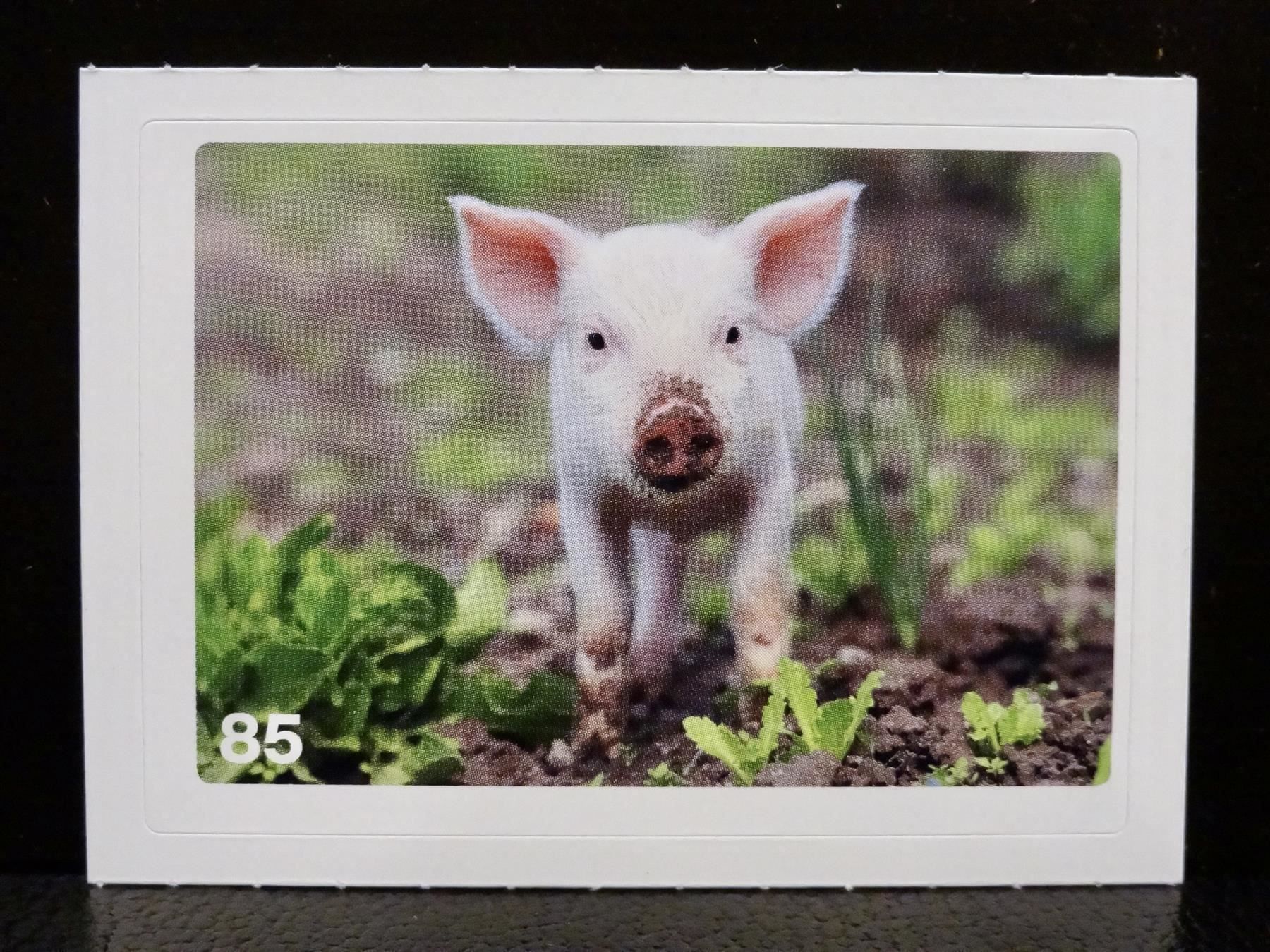 Migros Carte collezionabili: MIGROS MANIA Nature Detectives Nr. 85 – Usato da Kerzers venduto da zimmergruen