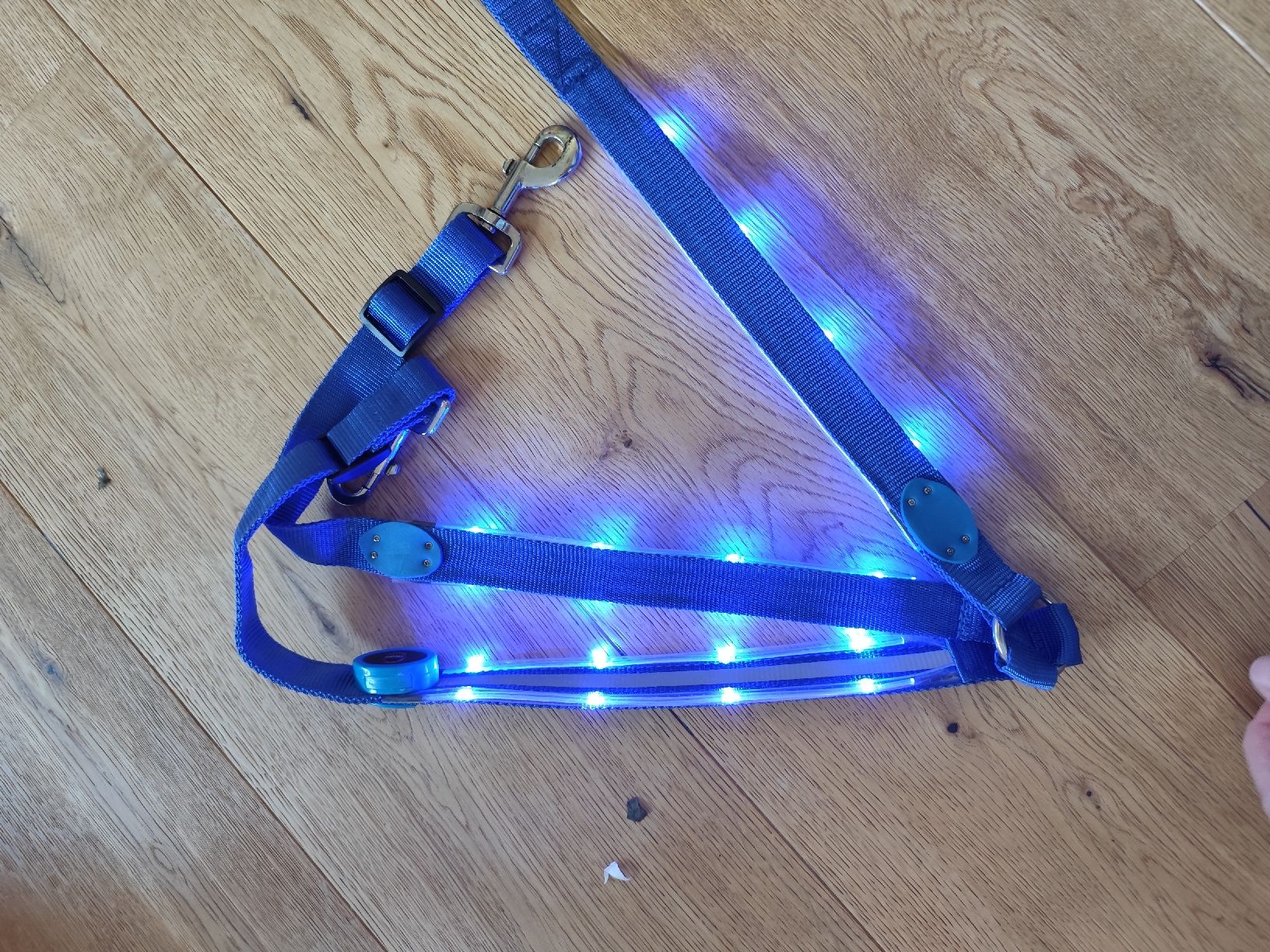 Brides, licols: Pony LED Vorgeschirr  – Défectueux à Kerzers par sb_12 3