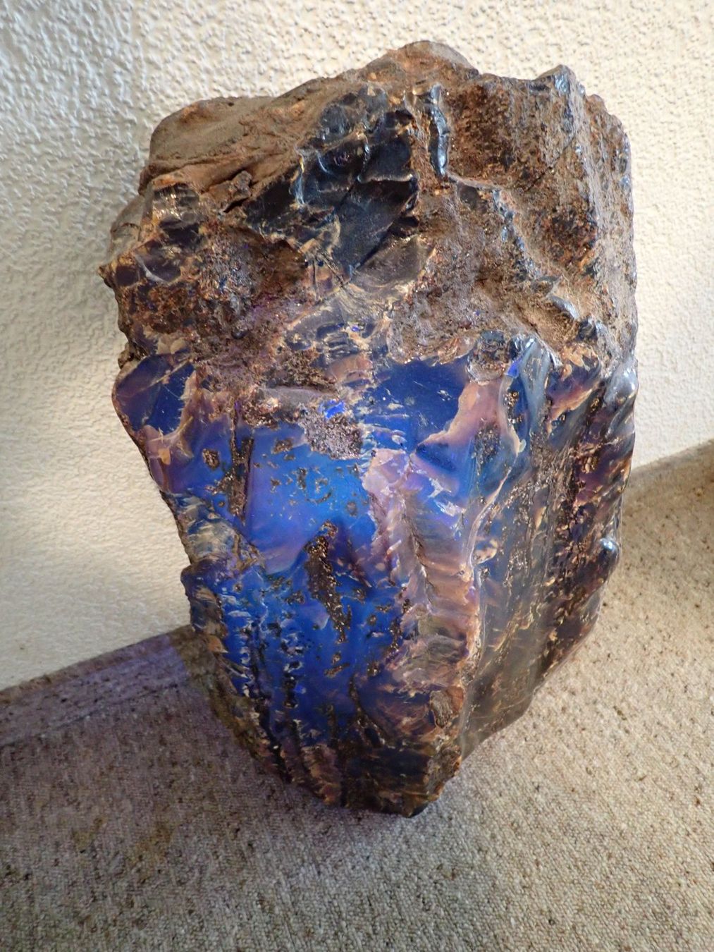Fossili: Grosser Bernstein!  11.6 Kg!! – Usato da Wallisellen venduto da Mf1000 2