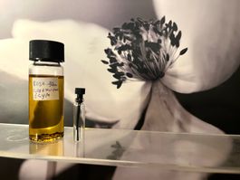 🌸 Egyptian Géranium - Essential Oil 🌸