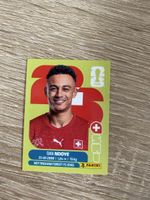 Panini SUI 19