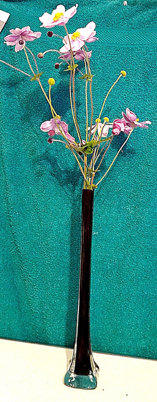 Vasi & Recipienti: Blumenvase Glasvase Vase – Usato da Baar venduto da 2cvbaar