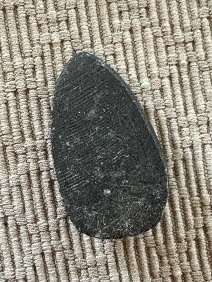 Fossilien: Orthoceras versteinert – Gebraucht aus Rümlang von euqinom16 1