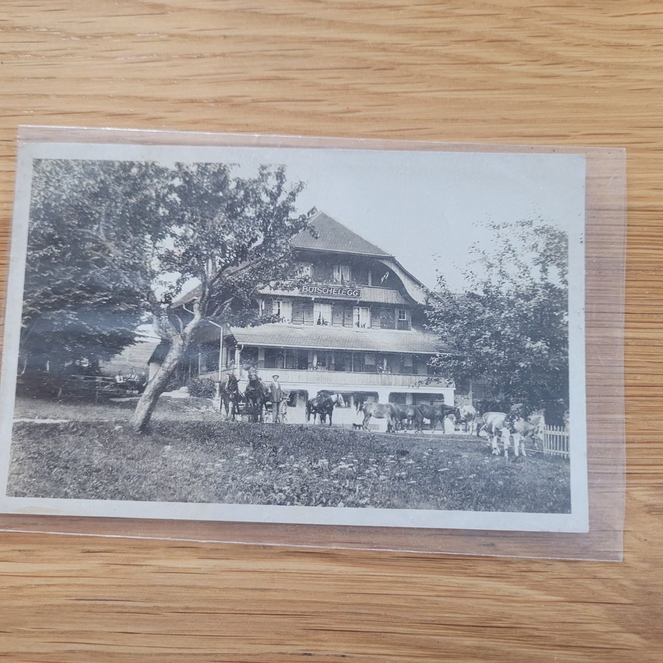 Ansichtskarten: Postkarten Ober Biel – Gebraucht aus Biel/Bienne von Destockweb