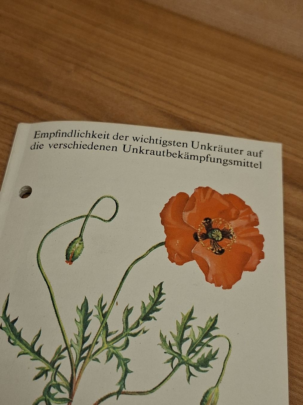 Documenti: Siegfried AG Zofingen Prospekt 1962 Unkrautbekämpfungsmittel – Usato da Ganterschwil venduto da HeidiuPeter 1