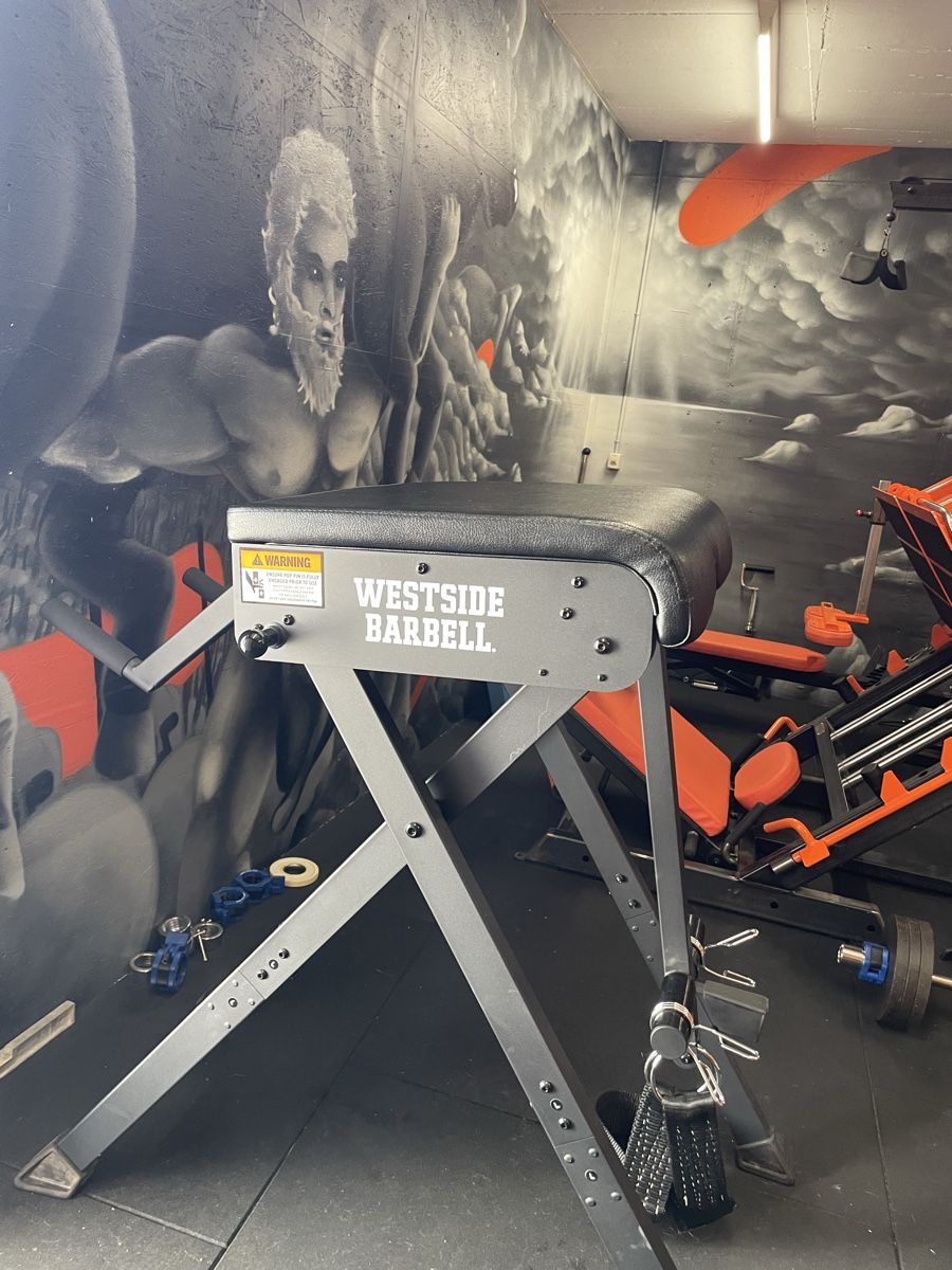 Hometrainer: Westside Barbell Reverse Hyper – Usato da Dällikon venduto da balu814