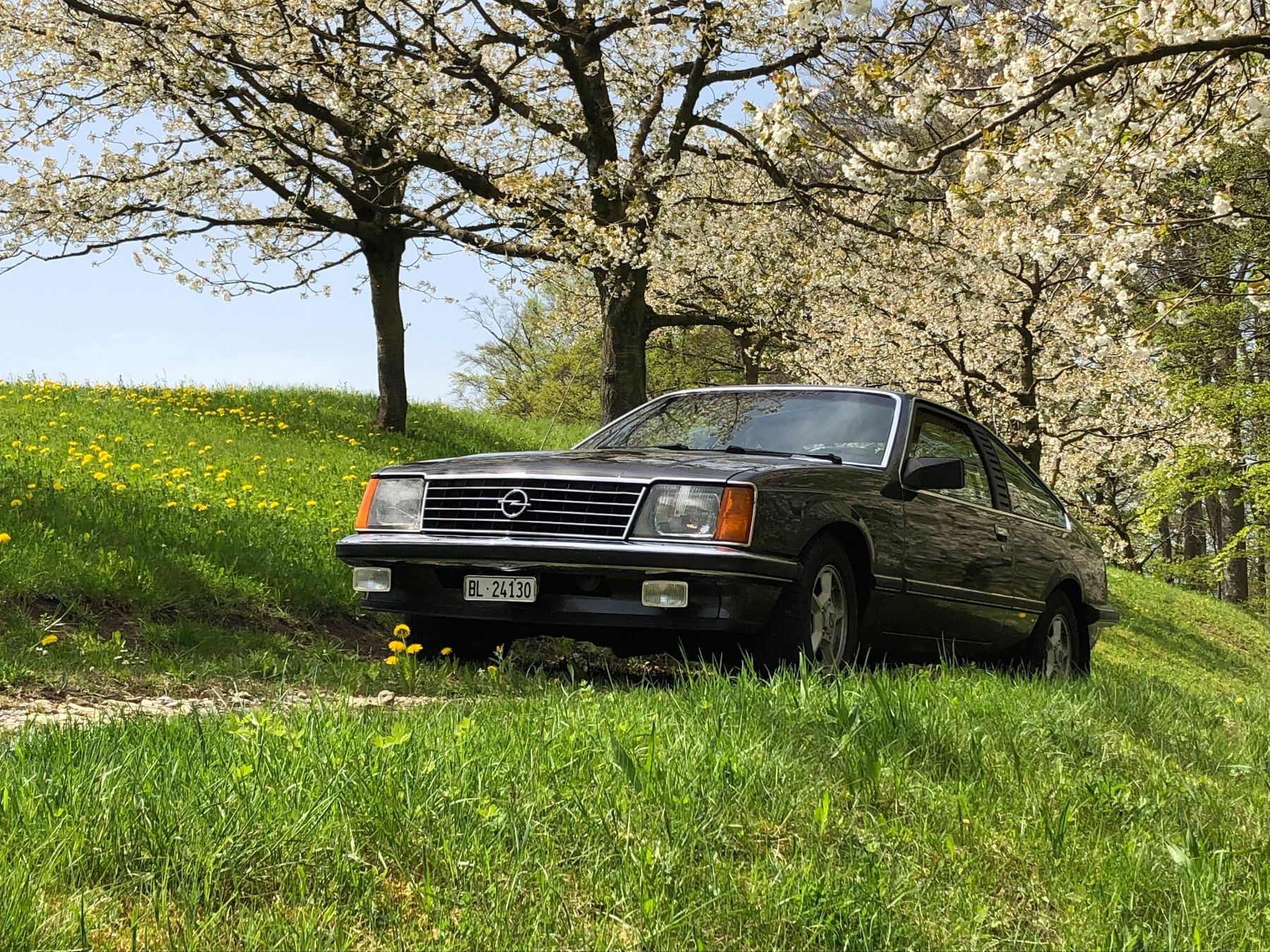 Opel Automobili: Opel Monza – Usato da Diegten venduto da zippo411 5
