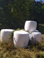Siloballen 2 Schnitt Herbst 24