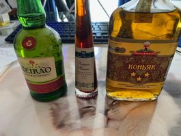 Mainau Pflaume, Vodka und Likör aus Portugal