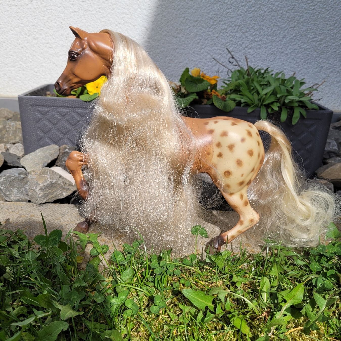 Giocattoli: Barbie Pferd Hengst Aslan Repaint Unikat – Usato da Niederbuchsiten venduto da klengyel 1