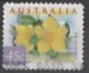 AUSTRALIA, hibbertia scandens Blume (8