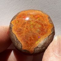 Opal Mezezo Aethiopien TOP Rolling Flash 36x34mm Rarität