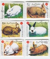 Briefmarken "Hasen". Somalia.
