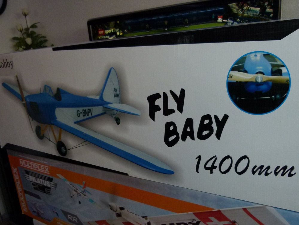 Modelflieger Fly Baby neu | Kaufen auf Ricardo