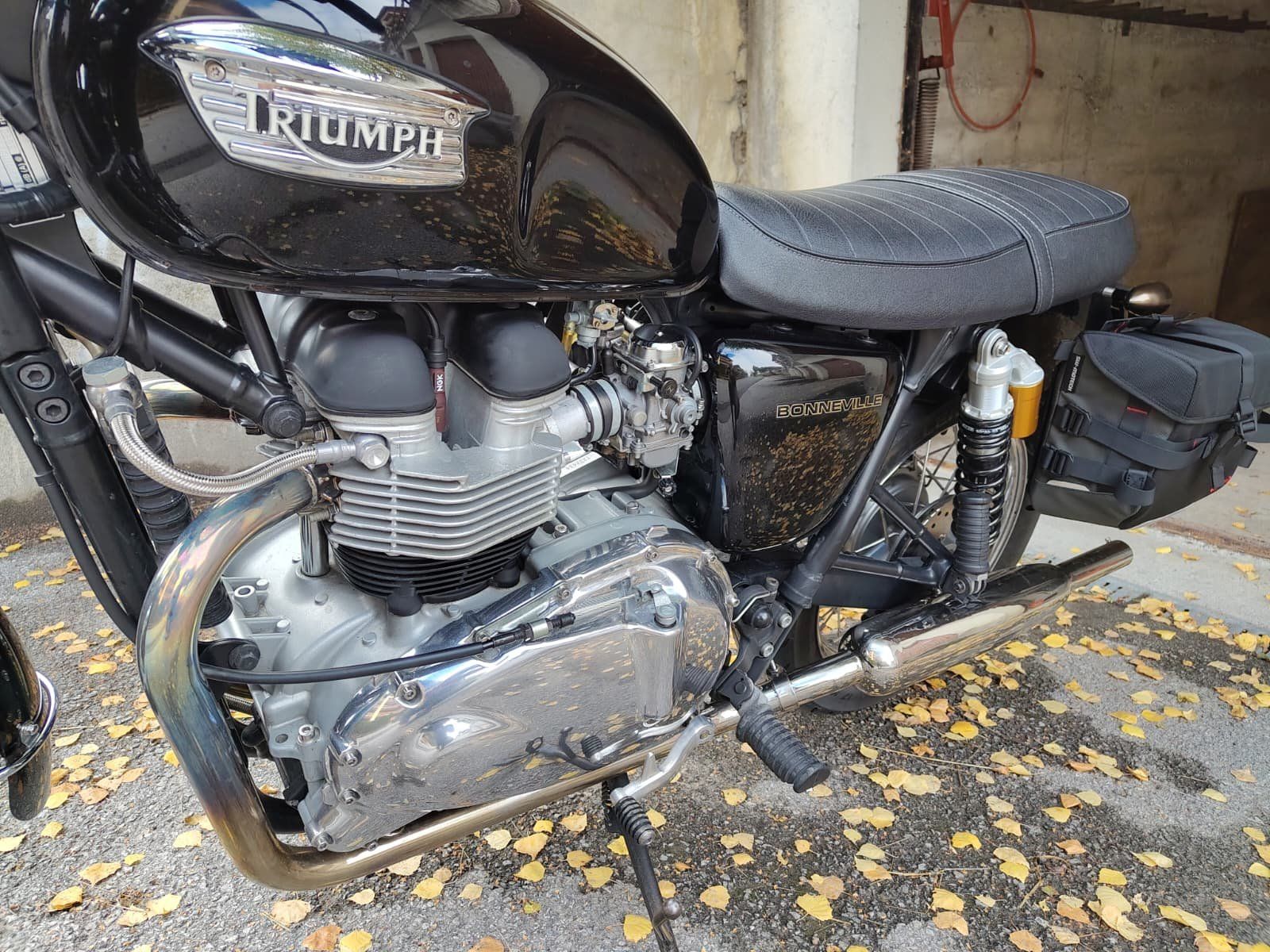 Triumph Strada: TRIUMPH Bonneville 800 – Usato da Haute-Nendaz venduto da vin_fm7p 1