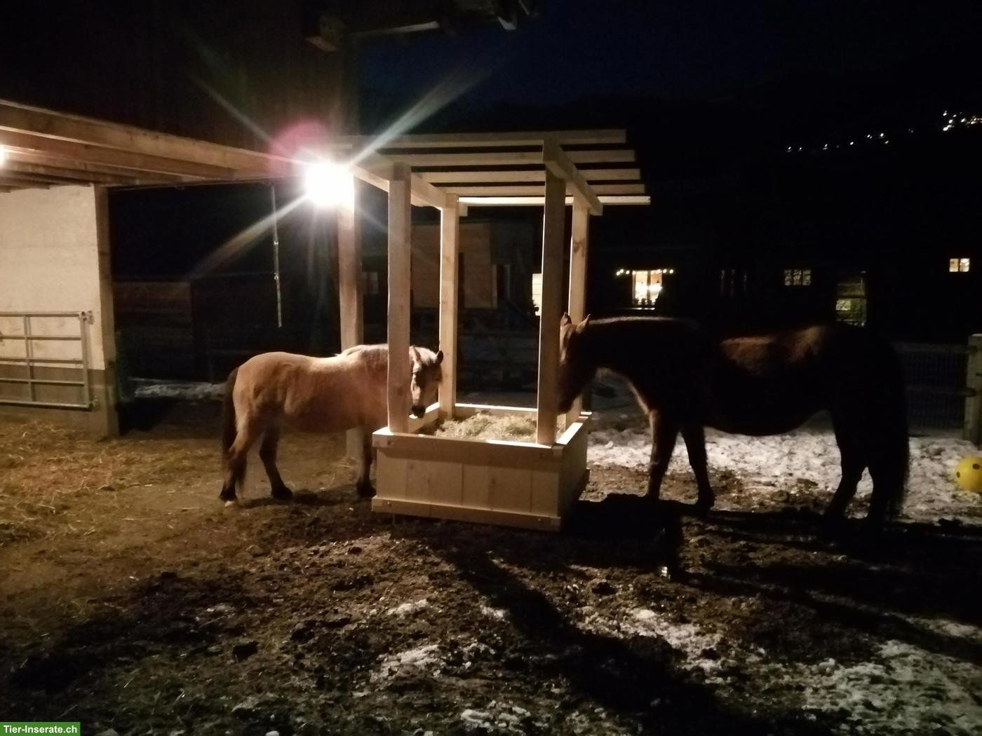 Futter: Heuraufe für Pferde / Ponies – Gebraucht aus Pragg-Jenaz von Suggi10 1