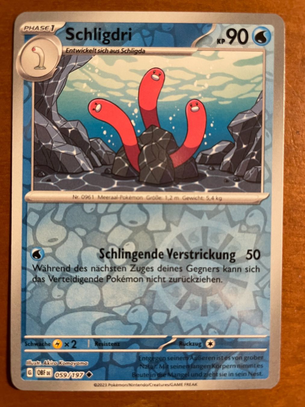 Pokémon Carte collezionabili: Pokemon Schligdri Reverse (Versand gratis) – Nuovo (secondo la descrizione) da Chur venduto da Angerson
