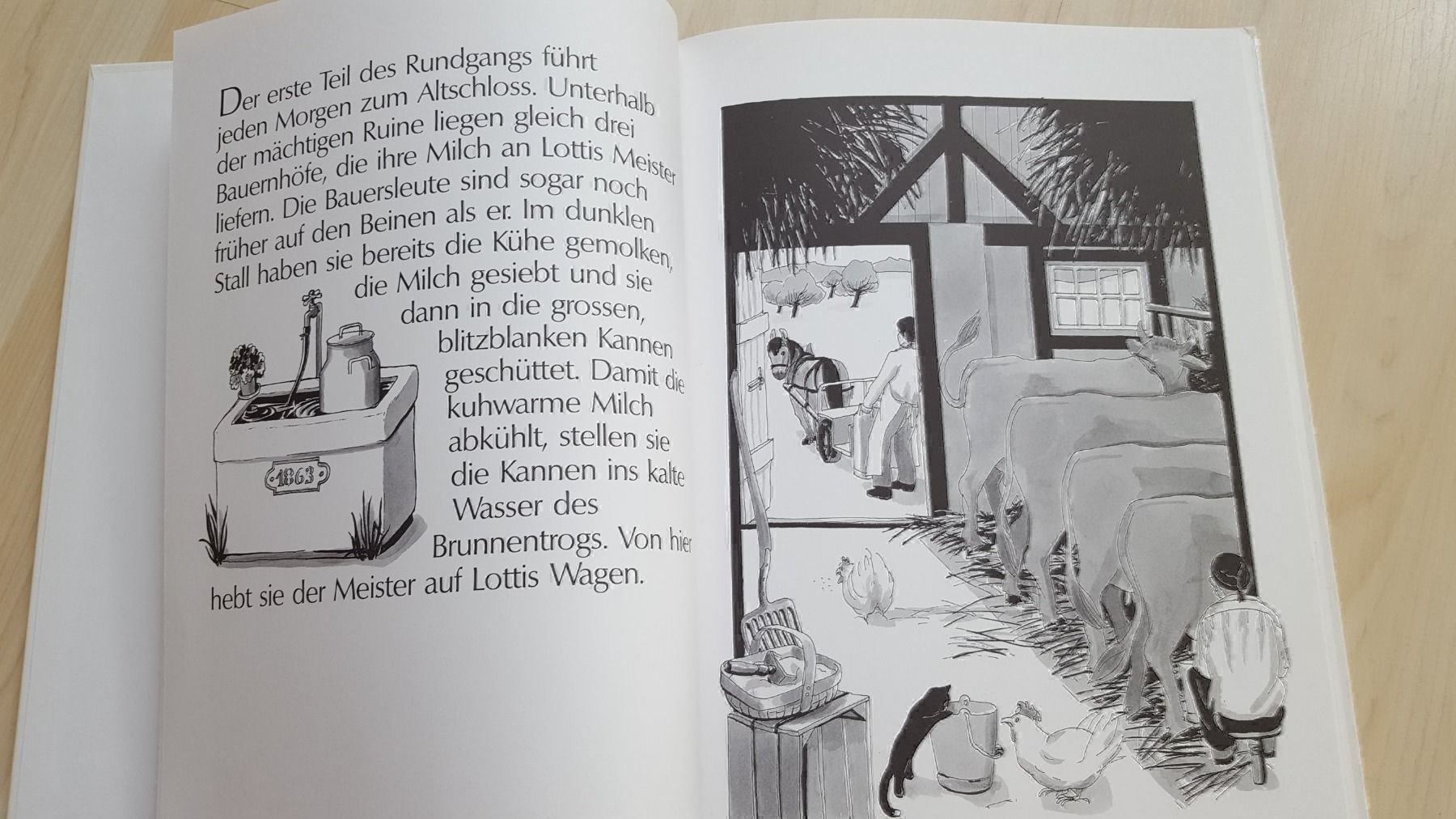 Libri: Vom Lotti und vom Milchmann – Nuovo (secondo la descrizione) da Schönengrund venduto da Liane63 3
