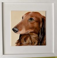 Acrylbild Dackel Miro von Lotti Wolf 30x30 cm gerahmt