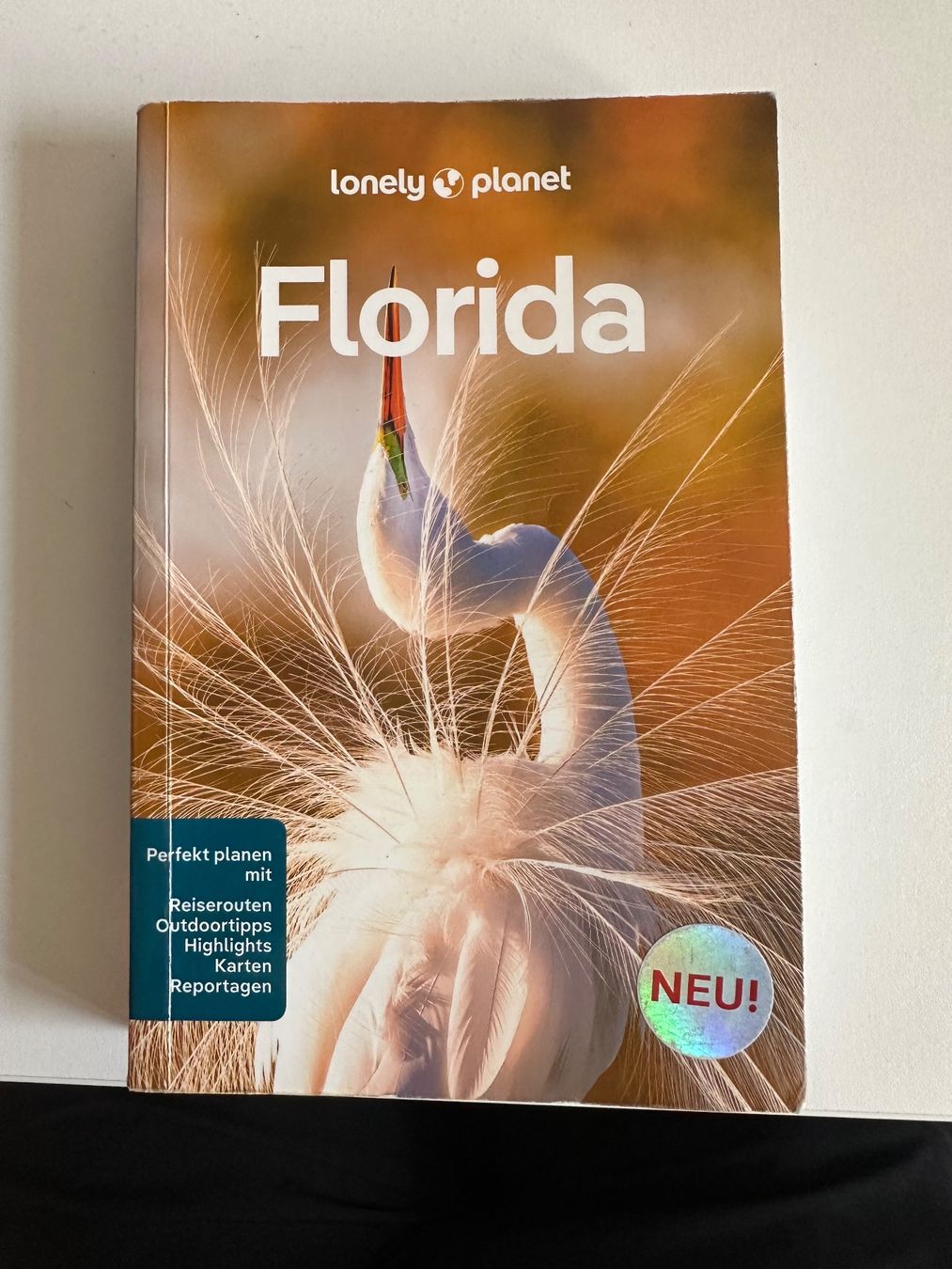 Libri: Lonely Planet Florida – Usato da Eschenbach LU venduto da robmay