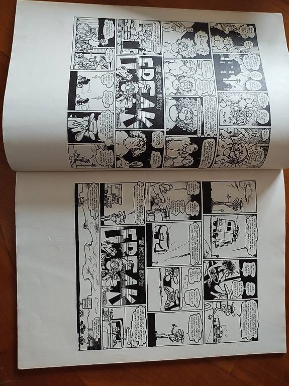 Fumetti: Freak Brothers U Comix Extra Nr 2 – Usato da St. Gallen venduto da Pintador 4