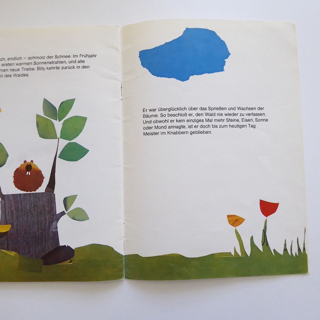 Libri: Billy Biber - Helme Heine – Usato da Basel venduto da Kunterbunt12 5