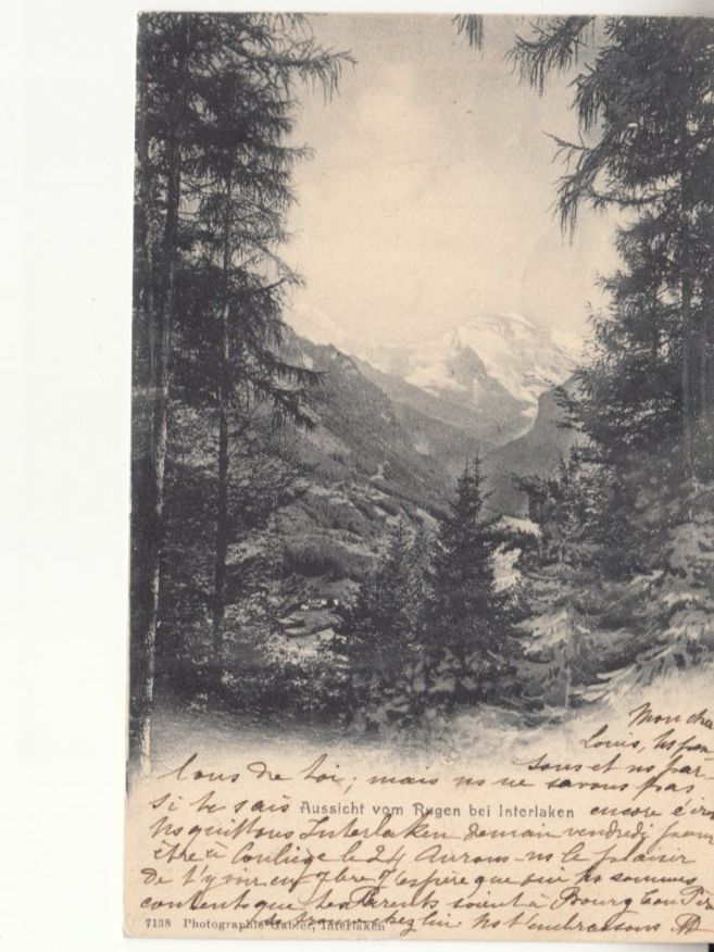 Cartes postales: Interlaken Rugen 1904 – D'occasion à Bürglen TG par StampGraf